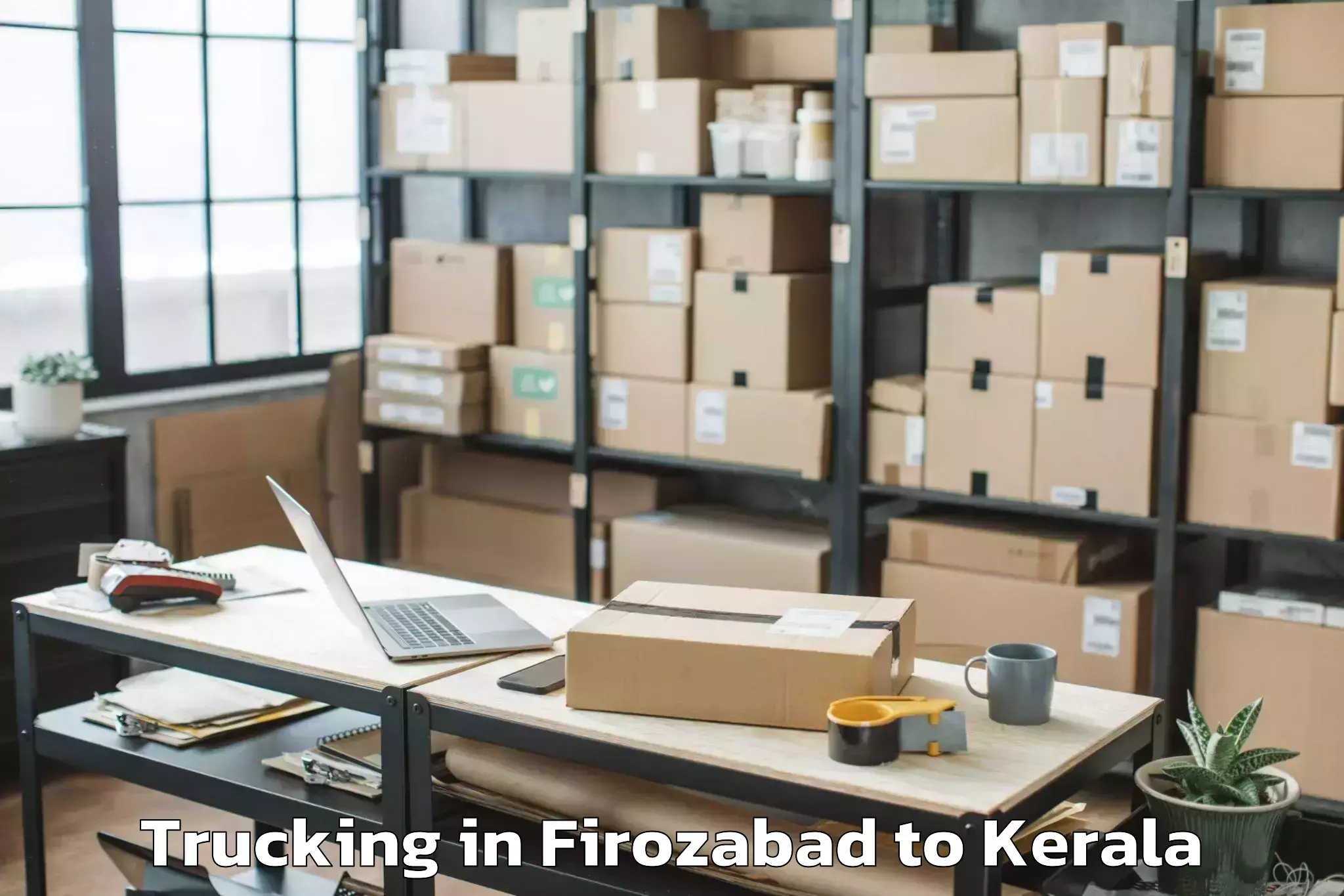 Professional Firozabad to Perintalmanna Trucking